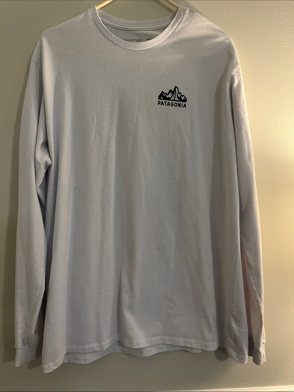 Patagonia Long Sleeve Crew Tee in White with Mountain Logo